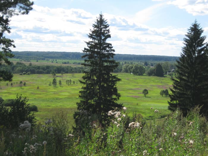 Фото автора. Август.